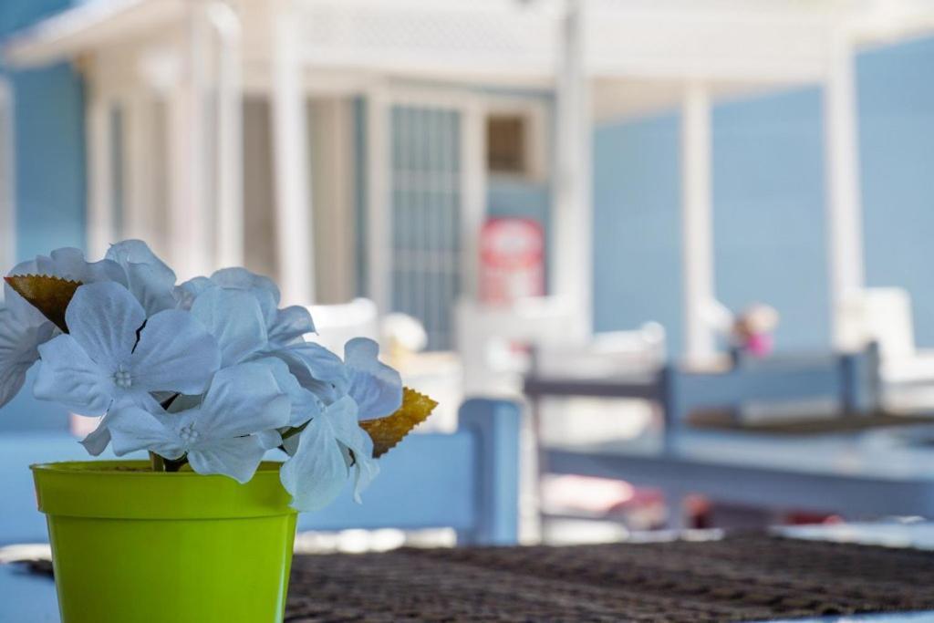 Cesme Minerva Port Hotel מראה חיצוני תמונה